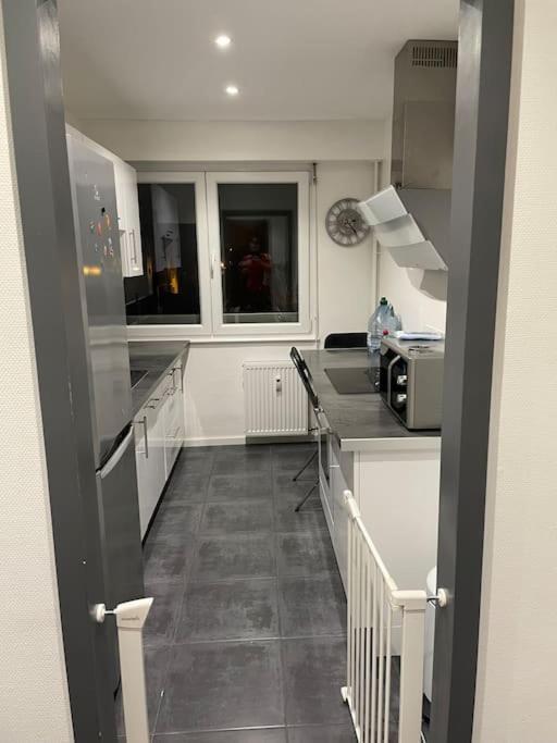 Appartement Cosy Strasbourg 쉴티그하임 외부 사진